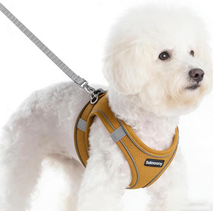 Solmoony Sparkly XXXS Dog Harness and Leash Set, Step in Soft Light Puppy Vest - Image 2