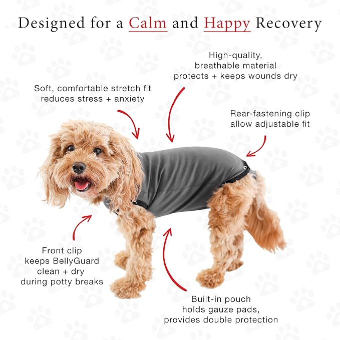 BellyGuard Dog Surgery Recovery Suit, Dog Onesie - Image 4