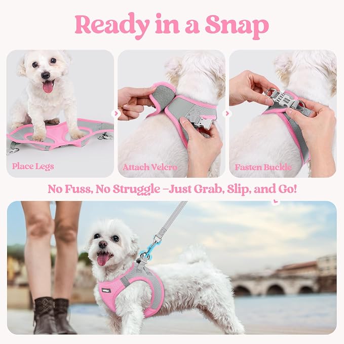 rabbitgoo Dog Harness Small Sized and Leash Set, Step in Soft Light Puppy Vest - Image 8