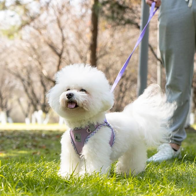 Dog Harness and Leash Set, No Pull Pet Harness - Image 7