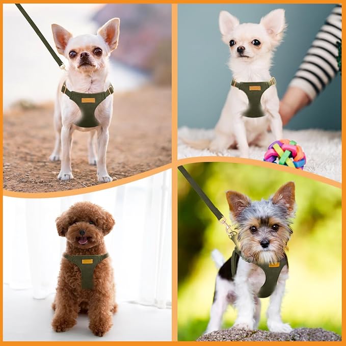 SlowTon Dog Harness Small Sized Dog - Image 7