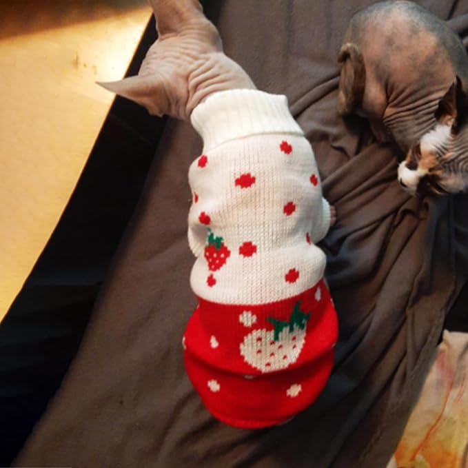 CHBORCHICEN Pet Dog Sweaters Classic Knitwear Turtleneck Winter Warm Puppy - Image 5