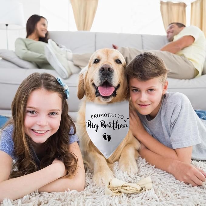 Promoted to Big Brother Pregnancy Announcement Dog Bandana Baby Announcement - Image 4