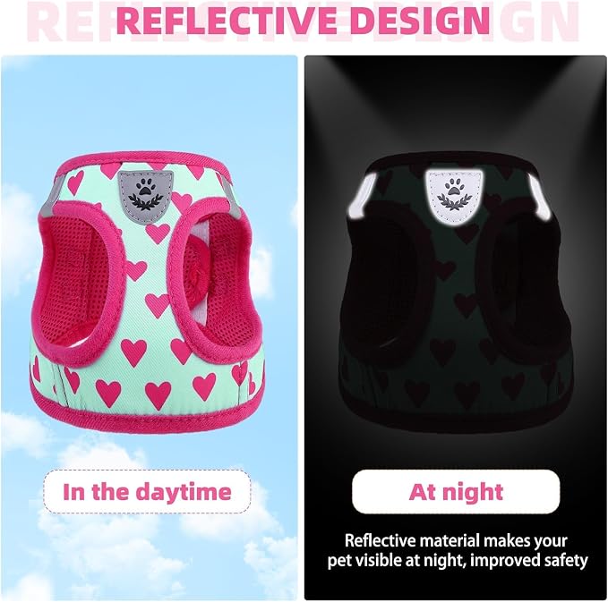 KOOLTAIL Valentines Dog Harness and Leash Set - Image 5