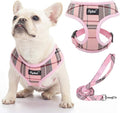 PUPTECK Soft Mesh Dog Harness and Leash Set Pet Puppy Cat Comfort Padded Vest by PUPTECK
