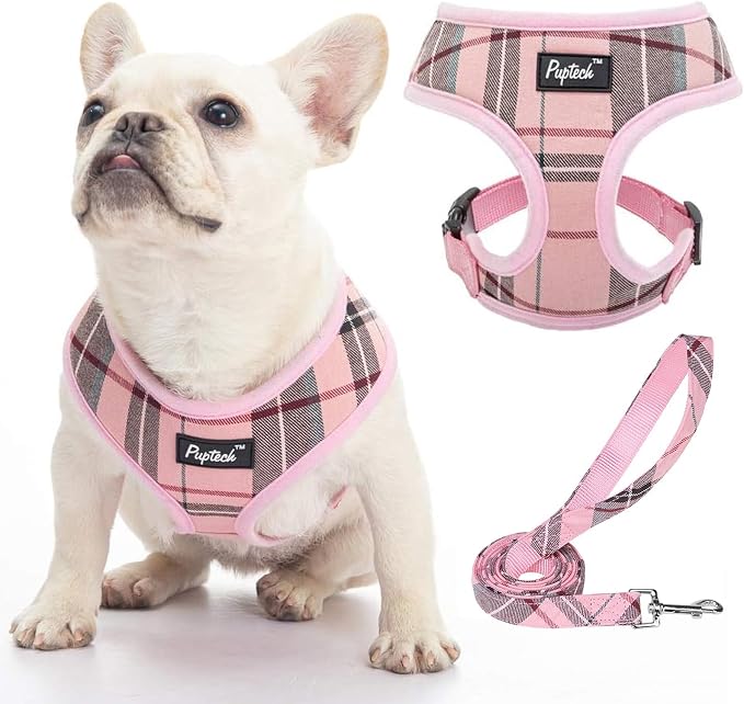 PUPTECK Soft Mesh Dog Harness and Leash Set Pet Puppy Cat Comfort Padded Vest by PUPTECK