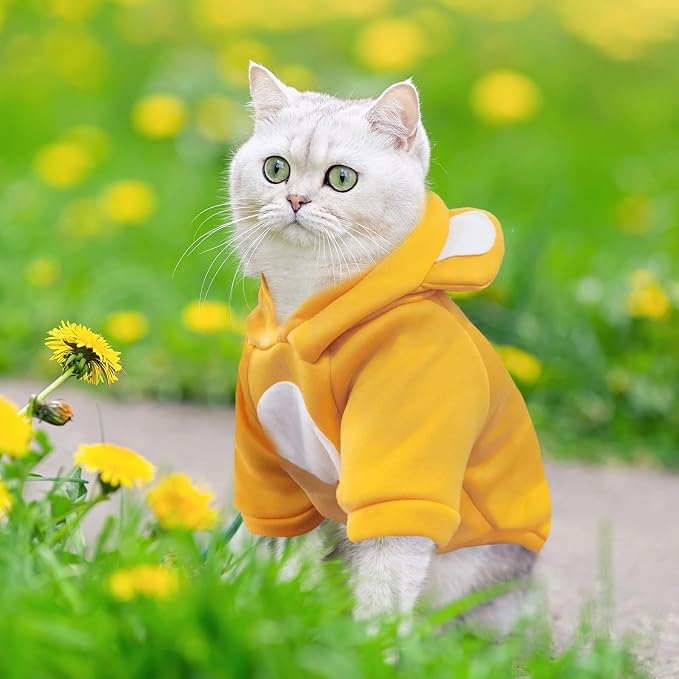 Small Dog Hoodie Soft Warm Fleece Fall Winter Dog Clothes Cute Puppy Sweaters - Image 6
