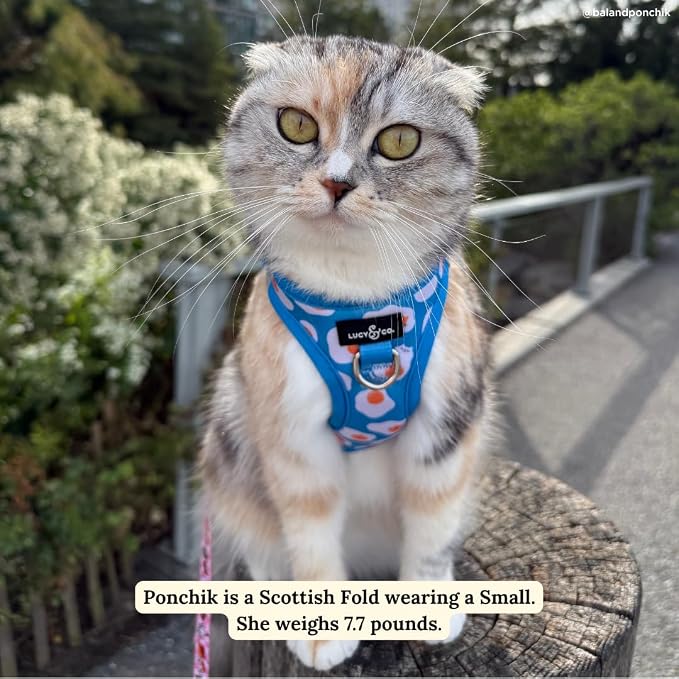 Lucy & Co. Eggcelent Step-in Cat Harness & Leash Bundle – Reflective, - Image 6