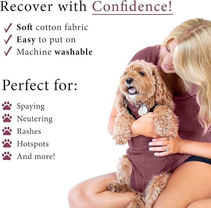 BellyGuard Dog Surgery Recovery Suit, Dog Onesie - Image 4