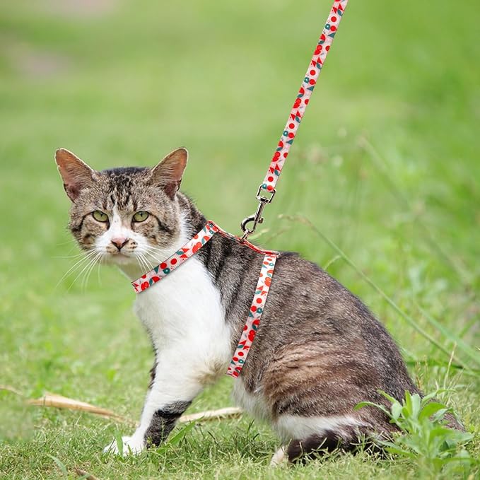 azuza Cat Harness and Leash Set - Image 7