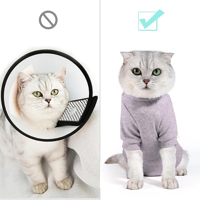 Dotoner Cat Surgery Recovery Suit - Image 3