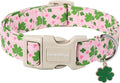 Lionet Paws St. Patrick Dog Collar- Cute Clover Pink Dog Collars by lionetpaws