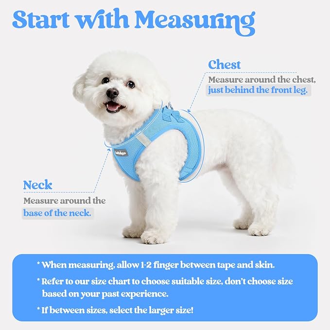 rabbitgoo Dog Harness Small Medium Sized and Leash Set, Step in Soft Light - Image 2