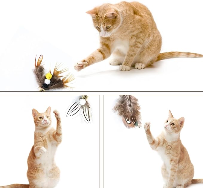Cat Insect Feather Toys Replacement Cat Toy Wand Refills, 6 Pieces Natural - Image 6