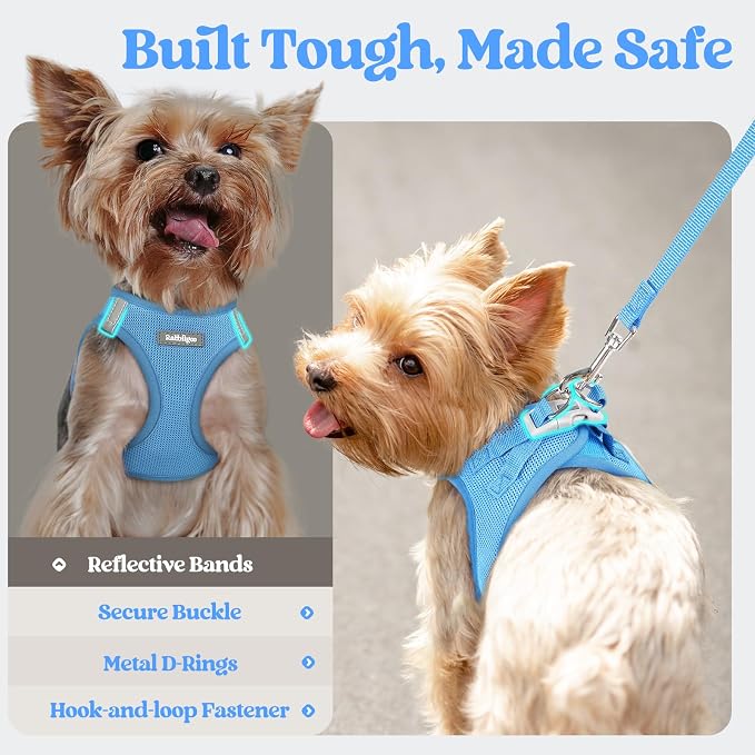 rabbitgoo Dog Harness Small Medium Sized and Leash Set, Step in Soft Light - Image 8