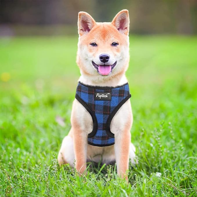 PUPTECK Soft Mesh Dog Harness and Leash Set Pet Puppy Cat Comfort Padded Vest - Image 6