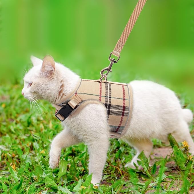 BINGPET Cat Harness and Leash Escape Proof - Image 5