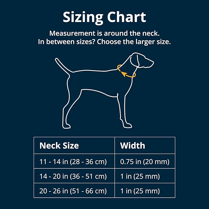 Ruffwear, Crag Dog Collar, Stylish Adventure Collar - Image 2