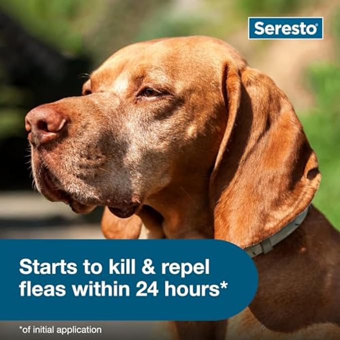 Seresto Flea & Tick Collar For Dogs Over 18 lbs., Treatment & Prevention - Image 5