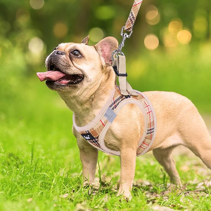 PUPTECK Dog Harness and Leash Set - Image 6