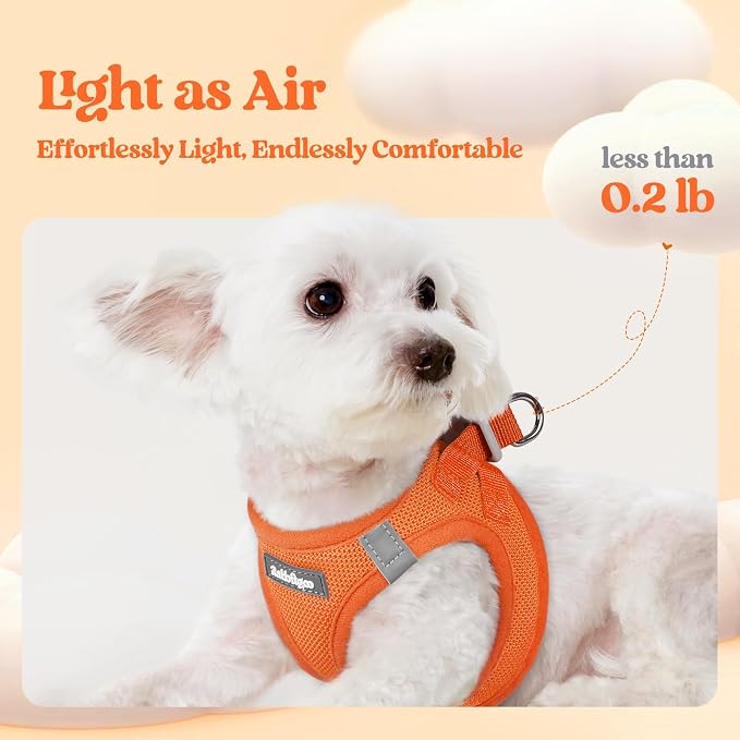 rabbitgoo Dog Harness Small Sized and Leash Set, Step in Soft Light Puppy Vest - Image 4