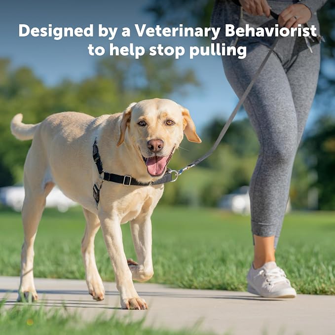 PetSafe Easy Walk Harness for Dogs - Image 2