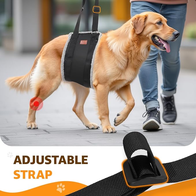 Adjustable Dog Lift Harness, Dog Sling - Image 7