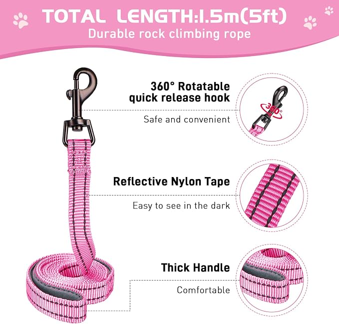Soft Mesh Dog Harness and Leash Set, No Pull Puppy Harness and Leash Set - Image 3