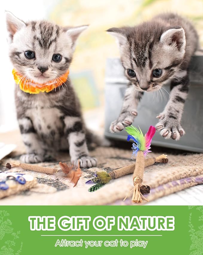 TINDTOP Silvervine Chew Sticks for Cats, Natural Catnip Chew Toys for Kittens - Image 6