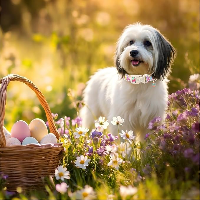 Easter Dog Collar for Small Dogs - Image 5