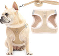 PUPTECK Dog Harness and Leash Set by PUPTECK