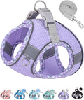 Petank Dog Harness for Small Medium Dogs No Pull, Puppy Harness and Leash Set by Petank