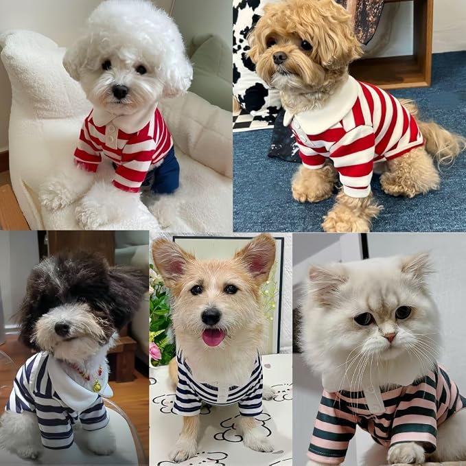 MANON ROSA Dog Clothes, Designer Boy Polo Shirt - Image 5