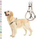PUPTECK No Pull Dog Harness Soft Adjustable Basic Nylon Step in Puppy Vest by PUPTECK