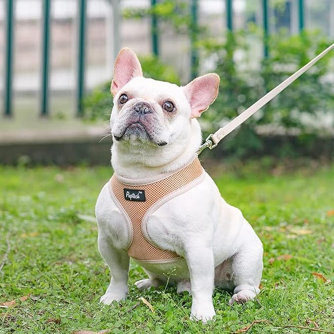PUPTECK Soft Mesh Dog Harness and Leash Set Pet Puppy Cat Comfort Padded Vest - Image 7