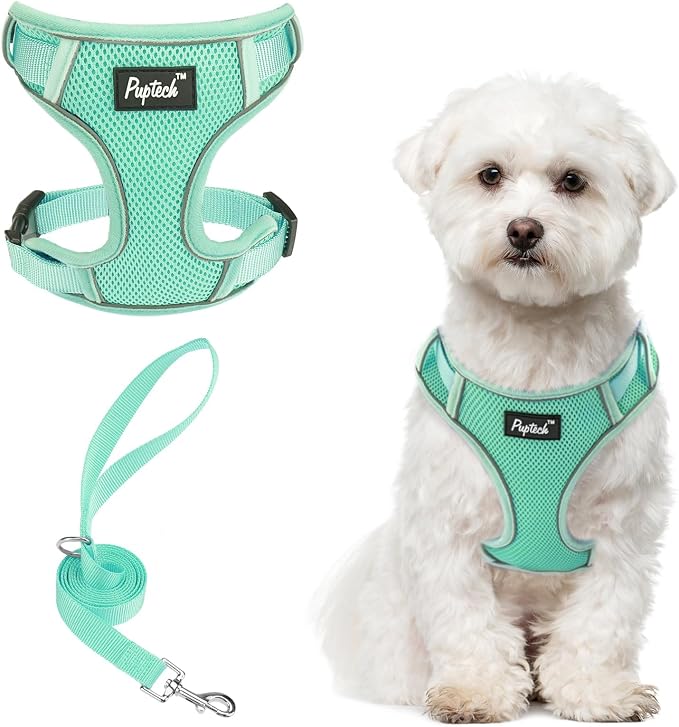 PUPTECK Small Dog Harness and Leash Set, No Pull Adjustable Puppy Cat Harness by PUPTECK