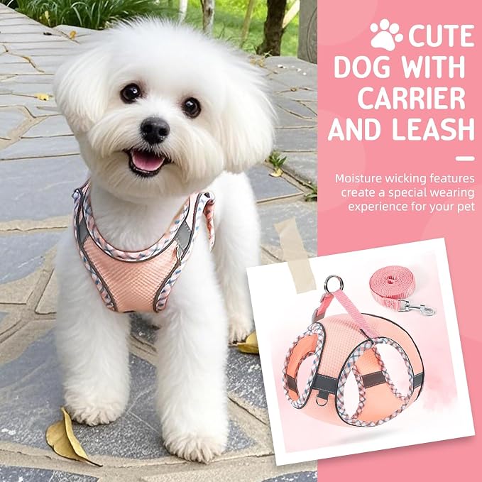 Cat Harness and Leash Set - Image 5