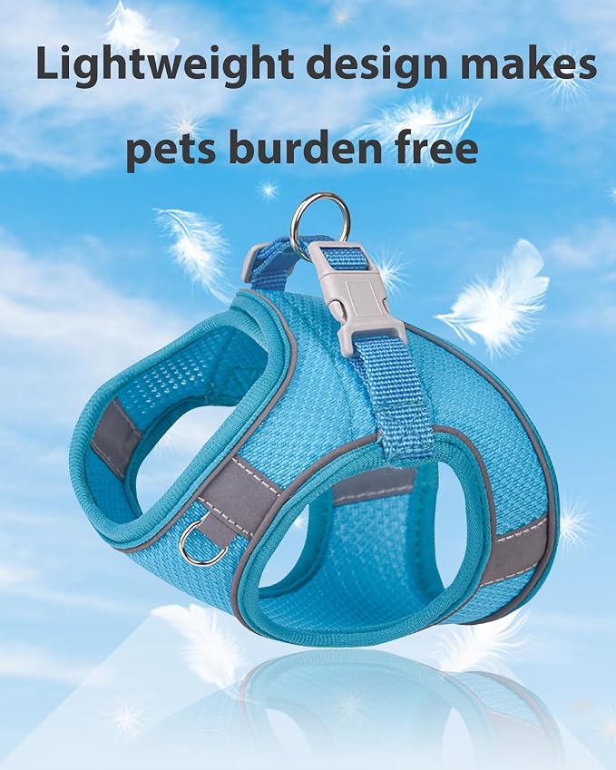 Dog Harness for Small Medium Sized Dog, Step in Puppy Harness and Leash Set - Image 3