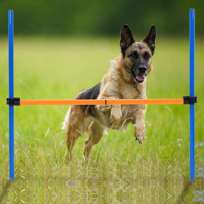 EVTSCAN Dog Agility Travel Jump Set, Obstacle Course - Image 5