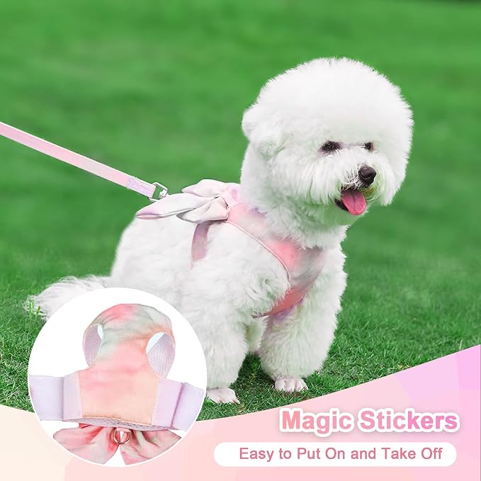 PETCARE Cute Bow Tie Dog Harness and Leash Set Elegant Rainbow Gradient Puppy - Image 2