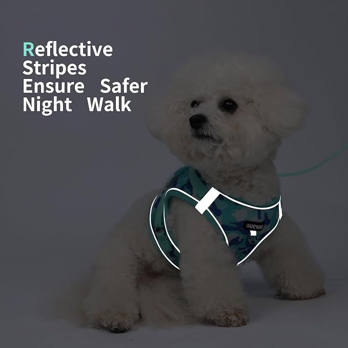 Step in Dog Harness with Leash Set, Adjustable Soft Padded and Breathable Mesh - Image 5
