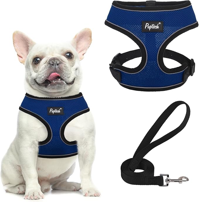 PUPTECK Soft Mesh Dog Harness and Leash Set Pet Puppy Cat Comfort Padded Vest by PUPTECK