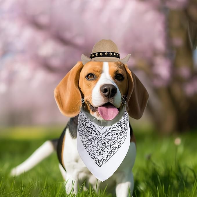 choyaxo Halloween Costumes for Dogs Cat Pet Cowboy Costume Cowboy Hat - Image 6