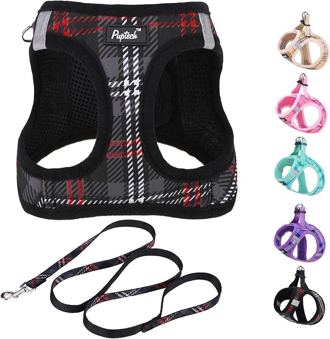 PUPTECK Dog Harness and Leash Set by PUPTECK