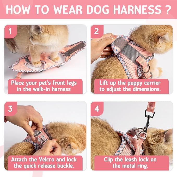 Cat Harness and Leash Set - Image 6