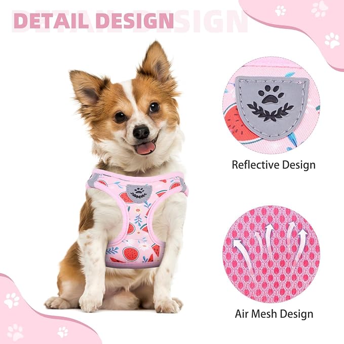 KOOLTAIL Dog Harness and Leash Set - Image 4