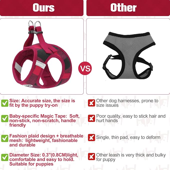 BEAUTYZOO Small Dog Harness and Leash Set, Step in No Choke No Pull Soft Mesh - Image 5