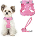 PUPTECK Dog Harness and Leash Set by PUPTECK