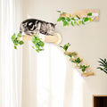 MEOWOOU 3 in 1 Cat Wall Furniture Set, 3 Pack Climbing Shelves Set, Cats Hammock by Meowoou