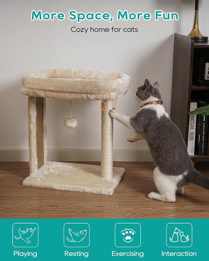 SYANDLVY Small Cat Tree for Indoor Cats, Scratching Board - Image 6